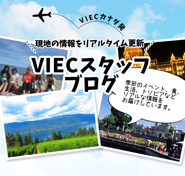 カナダ発!viecスタッフブログ